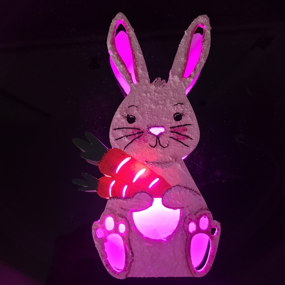 π°ππ Handpainted Wooden Easter Bunny Shadowbox - Picture 3 of 9